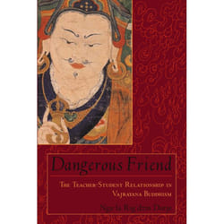 ISBN Dangerous Friend