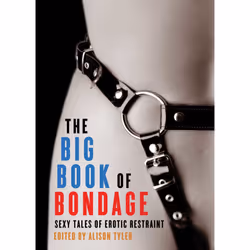 ISBN Big Book of Bondage, Literary fiction, English, Paperback, 332 pages