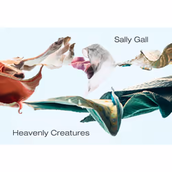 ISBN Heavenly Creatures, Photography, English, Hardcover, 104 pages