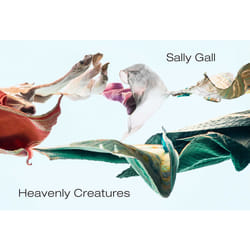 ISBN Heavenly Creatures book Photography English Hardcover 104 pages