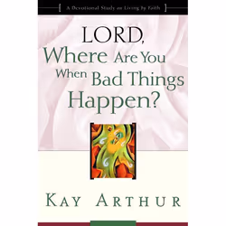 ISBN Lord, Where Are You When Bad Things Happen?, Paperback, 272 pages