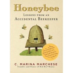 ISBN Honeybee book English Paperback 256 pages