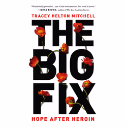 ISBN The Big Fix, Biography, English, Paperback, 272 pages