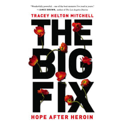 ISBN The Big Fix book Biography English Paperback 272 pages