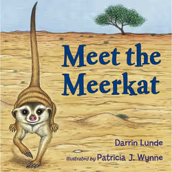 ISBN Meet the Meerkat, English, Paperback, 32 pages