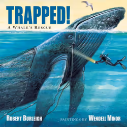 ISBN Trapped! A Whale’s Rescue, English, Paperback, 32 pages