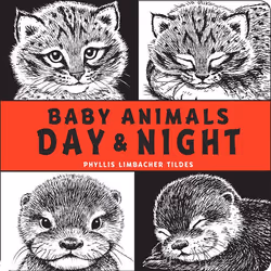 ISBN Baby Animals Day & Night, English, Hardcover, 10 pages