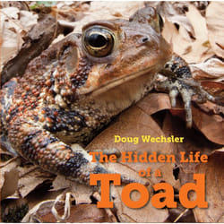 ISBN The Hidden Life of a Toad