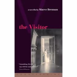 ISBN The Visitor, English, Paperback, 96 pages
