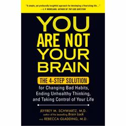ISBN You Are Not Your Brain, Paperback, 384 pages