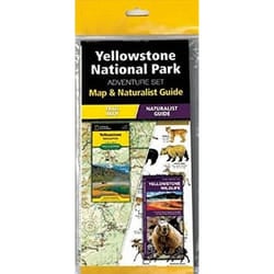 ISBN Yellowstone National Park Adventure Set book Travel English Paperback 14 pages