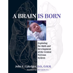 ISBN A Brain Is Born, Paperback, 400 pages