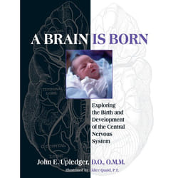 ISBN A Brain Is Born