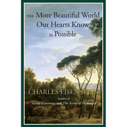 ISBN The More Beautiful World Our Hearts Know Is Possible
