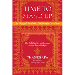 ISBN Time to Stand Up