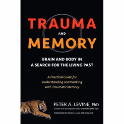ISBN Trauma and Memory, Paperback, 206 pages