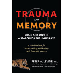 ISBN Trauma and Memory