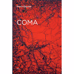 ISBN Coma, English, Paperback, 232 pages
