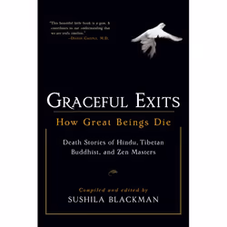 ISBN Graceful Exits, Paperback, 160 pages