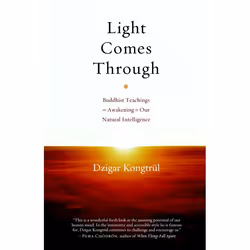 ISBN Light Comes Through, Paperback, 144 pages