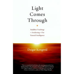 ISBN Light Comes Through