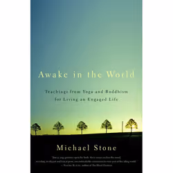 ISBN Awake in the World, Paperback, 208 pages
