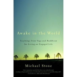 ISBN Awake in the World