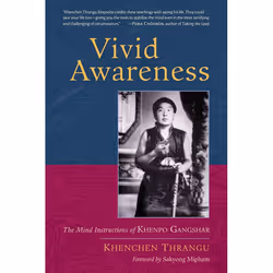 ISBN Vivid Awareness, Paperback, 256 pages