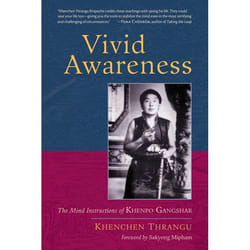 ISBN Vivid Awareness