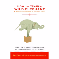 ISBN How to Train a Wild Elephant, Paperback, 224 pages