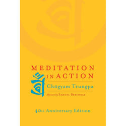 ISBN Meditation in Action
