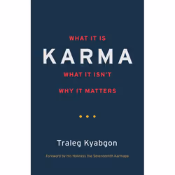 ISBN Karma, Paperback, 160 pages