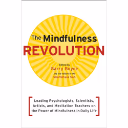 ISBN The Mindfulness Revolution, Paperback, 288 pages