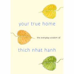 ISBN Your True Home, Paperback, 400 pages