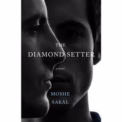 ISBN The Diamond Setter, English, Paperback, 304 pages
