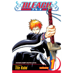 ISBN Bleach, Vol. 1