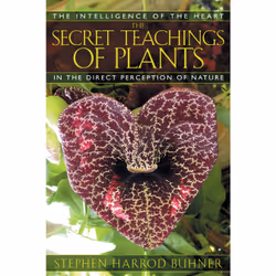 ISBN The Secret Teachings of Plants, English, Trade Paperback, 336 pages