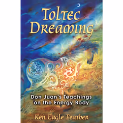 ISBN Toltec Dreaming, English, Paperback, 272 pages