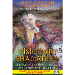 ISBN Visionary Shamanism