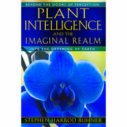 ISBN Plant Intelligence and the Imaginal Realm, English, Trade Paperback, 576 pages