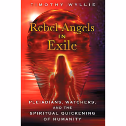 ISBN Rebel Angels in Exile, English, Trade Paperback, 328 pages