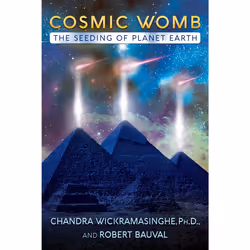 ISBN Cosmic Womb, English, Trade Paperback, 408 pages