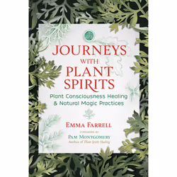 ISBN Journeys with Plant Spirits, Science & nature, English, Paperback, 288 pages