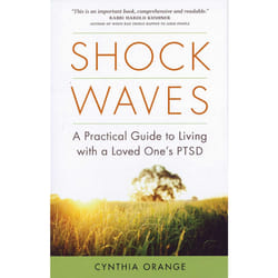 ISBN Shock Waves