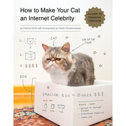 ISBN How to Make Your Cat an Internet Celebrity