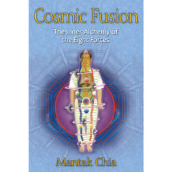 ISBN Cosmic Fusion