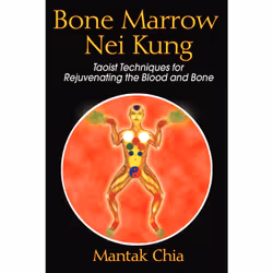 ISBN Bone Marrow Nei Kung, English, Trade Paperback, 272 pages