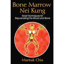 ISBN Bone Marrow Nei Kung