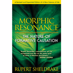ISBN Morphic Resonance, English, Paperback, 352 pages