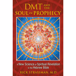 ISBN DMT and the Soul of Prophecy, English, Trade Paperback, 352 pages